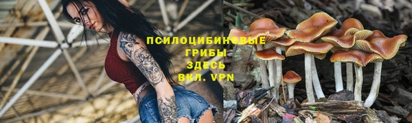 mdpv Белоозёрский