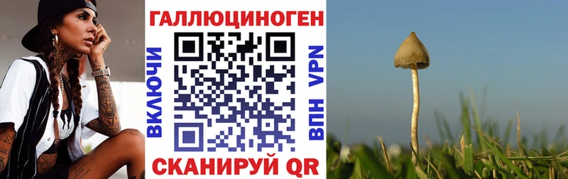Псилоцибиновые грибы Psilocybine cubensis  shop состав  Красновишерск 